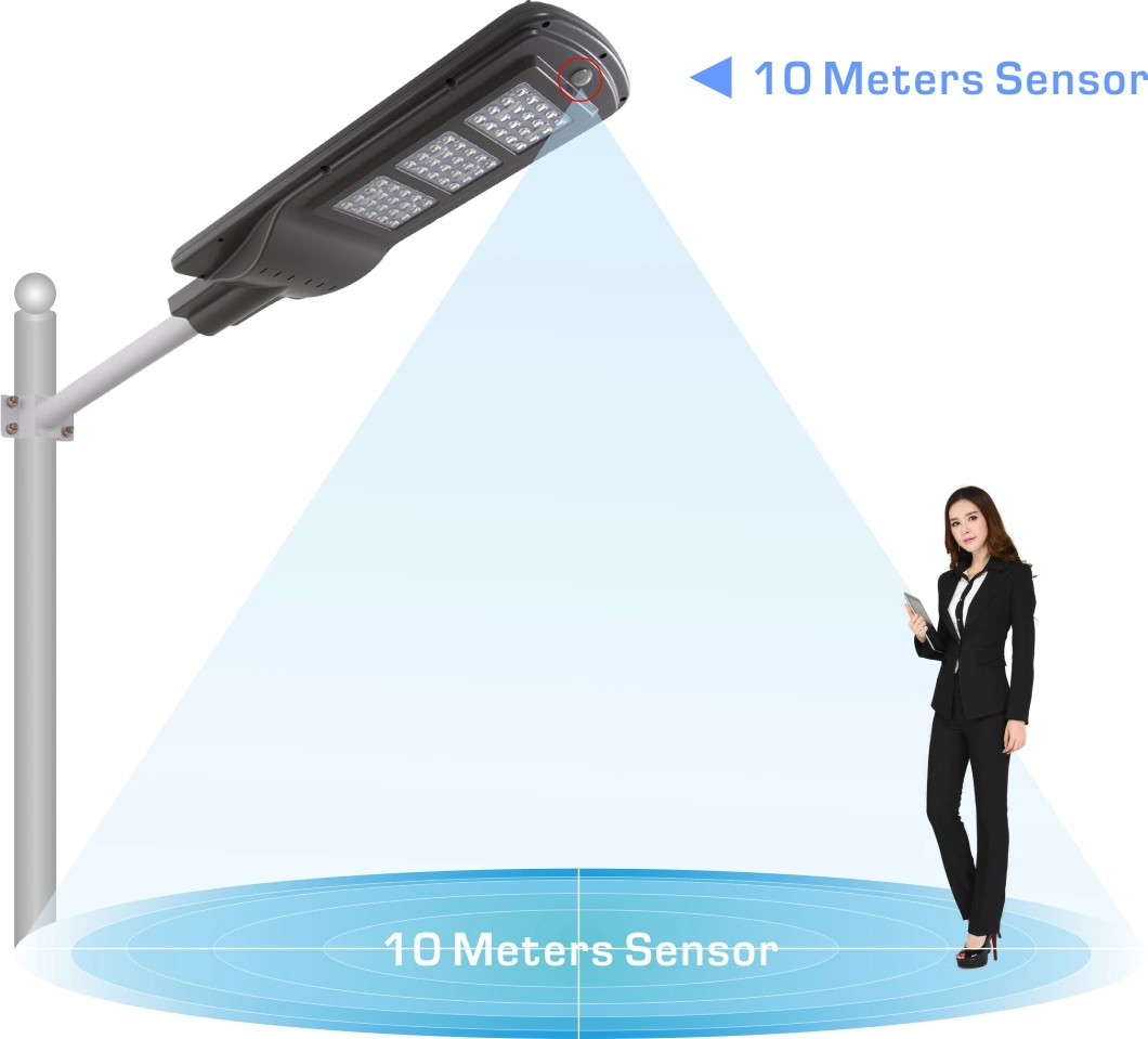 All in Two Solar LED Street Light 30W