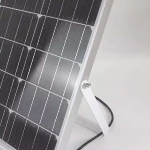 Luce di inondazione solare di fabbrica ispezionata TUV SGS BV con telecomando intelligente Lungo